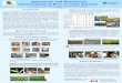 Poster23: Agronomic and nutritional improvement of rice in LA