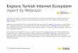 Turkish Internet Ecosystem Overview