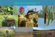 Ag21 biodiversity