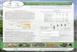 Poster17: Enhancing the nutritional quality of cassava roots to improve the livelihoods of farmers in marginal agriculture land - case Vitamin A