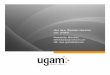 Ugam Research Services Portfolio Pdf