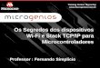 Slides do WebSeminário: Os segredos sobre Dispositivos Wi-Fi e Stack TCP IP para Microcontroladores