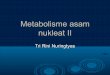Metabolisme asam nukleat ii