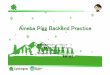 18 a-6 ameba pigg backend practice 20110217
