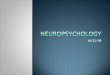 Neuropsychology Presentation