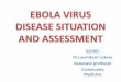 ebola-the outbreak