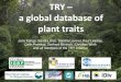 TRY - a global database of plant traits