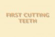Pediatric Dentist Rockford, IL | First Cutting Teeth