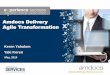 LKNA 2014 - Agile Transformation in Amdocs Delivery