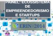 Painel Ecossistema de Empreendedorismo e Startups / ERIN 2014