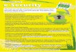 WISE KIDS Leaflet: eSecurity