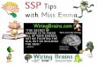 SSP tips for wiring brains for reading and spelling, including Dyslexic brains