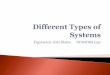 Types of System- SYANDES Q#3