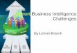 Business Intelligence Challenges 2009