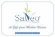 Salveo power point website