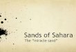Technology Entrepreneurship Venture Lab 2012 - Project 2 - Sands of Sahara