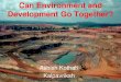 Can Environment and Development Go Together?