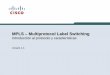 MPLS - Multiprotocol Label Switching v1.3