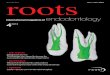 Roots international magazine of endodontology vol 9 issue 4  2013