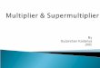 Unit 3 multiplier & super multiplier