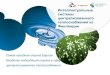 интеллектуальные системы централизованного теплоснабжения из финляндии, Helena Saren - Kazakhstan Green Technologies