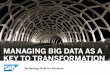 Leveraging Big Data as a Key to Transformation