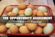 THE OPPORTUNITY ASSESSMENT