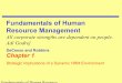 Strategic Implications of a Dynamic HRM Environment