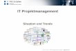 IT-Projektmanagement, Christian Thiel