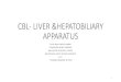 Cbl  liver &hepatobiliary apparatus