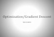 Optimization/Gradient Descent
