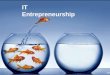 IT Entrepreneurship - Jaffna IT Week (December 2014)