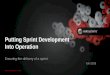 Putting sprint development into operation