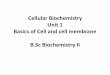 B.Sc. Biochemistry II Cellular Biochemistry Unit 1 Basics of Cell