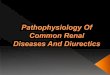 Pathophysiology of common renal diseases and diurectics