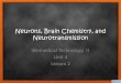 4.02  neurons, brain chemistry, and neurotransmission