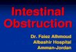 Intestinal obstruction lecture