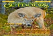Southern Traditions Outdoors   January - February 2015