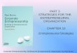 Ch10 entrepreneurial strategies