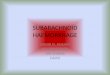 Subarachnoid haemorrhage