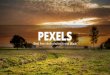Pexels – Best free stock photos in one place