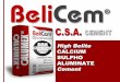 BeliCem - high belite CSA CEMENT_2015 hr