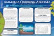 Ammonia Oxidising Archaea poster