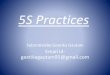 Qcl 14-v3-5s practices-banasthali vidyapeeth-geetika gautam(1)