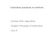 B.sc. agri i po h unit 4.5 cultivation practices of jackfruit