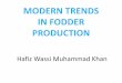MODERN TRENDS IN FODDER PRODUCTION Hafiz wassi-muhammad-khan
