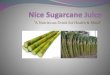 Sugarcane juice marketing plan  new product