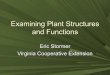 Examining Plant Structures and Functions