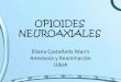 Opioides neuroaxiales