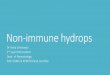 Non immune hydrops latest